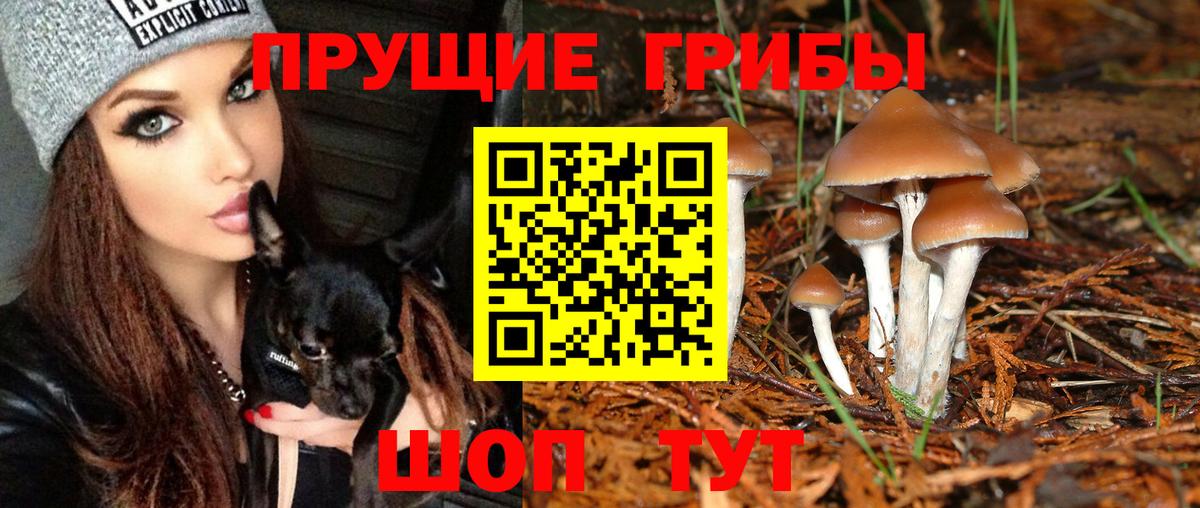 Галлюциногенные грибы MAGIC MUSHROOMS Азов